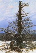Caspar David Friedrich Oak Tree in the Snow (mk10) oil painting on canvas